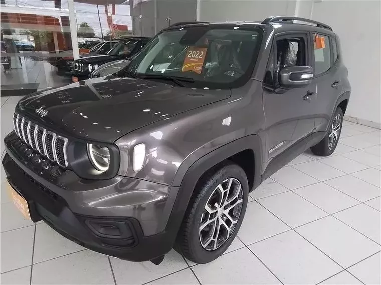 Jeep Renegade Cinza 5