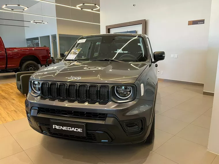 Jeep Renegade Cinza 12