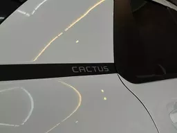 Citroën C4 Cactus