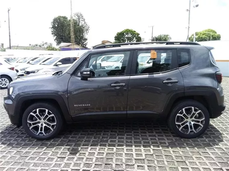 Jeep Renegade Cinza 8