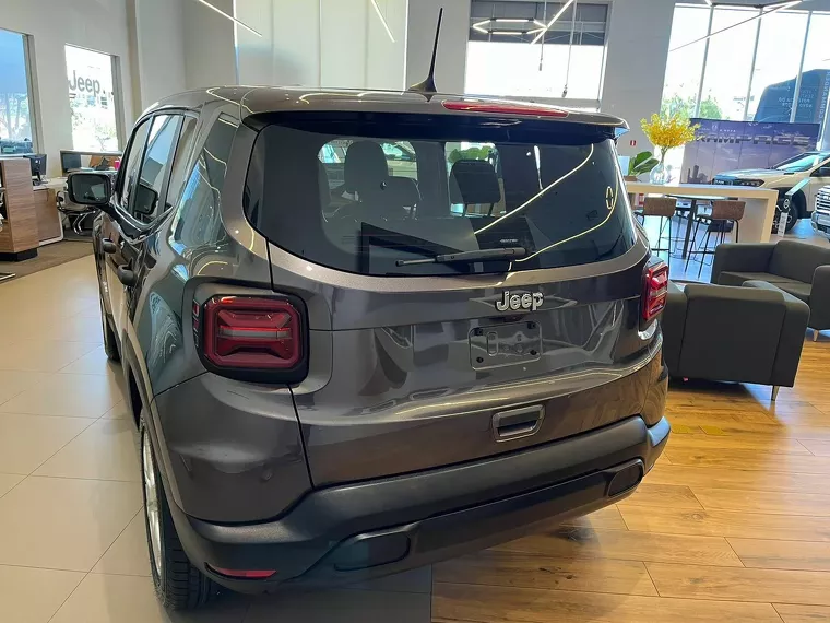 Jeep Renegade Cinza 2