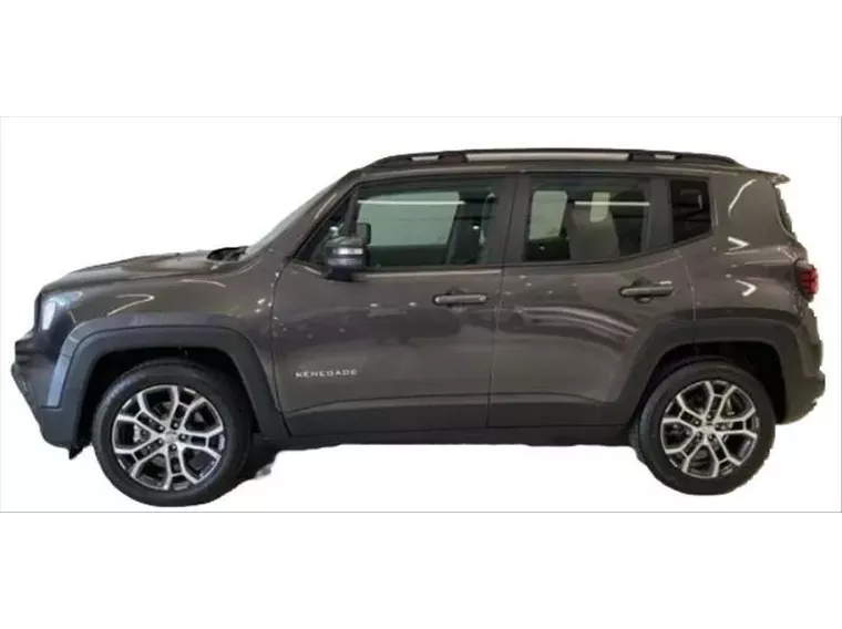 Jeep Renegade Cinza 1