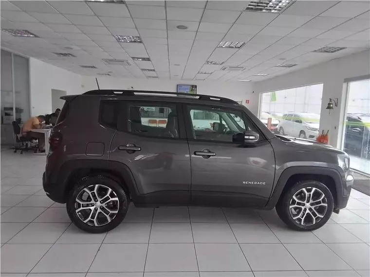 Jeep Renegade Cinza 3