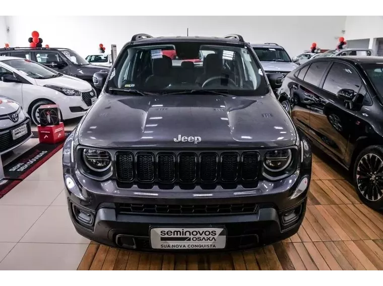 Jeep Renegade Cinza 1