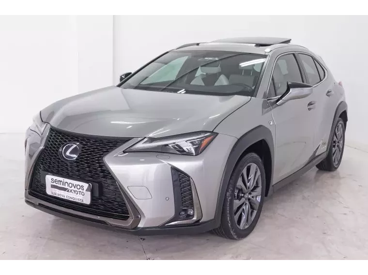 Lexus UX 250H Cinza 3