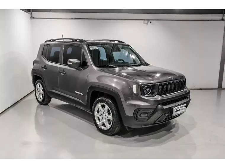 Jeep Renegade Cinza 3