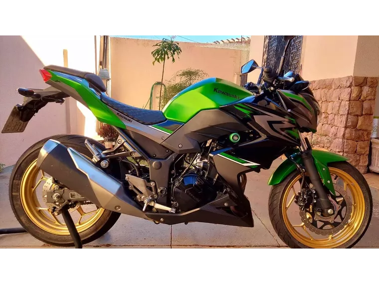 Kawasaki Z Verde 2