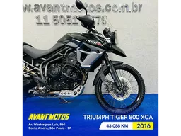 Tiger 800