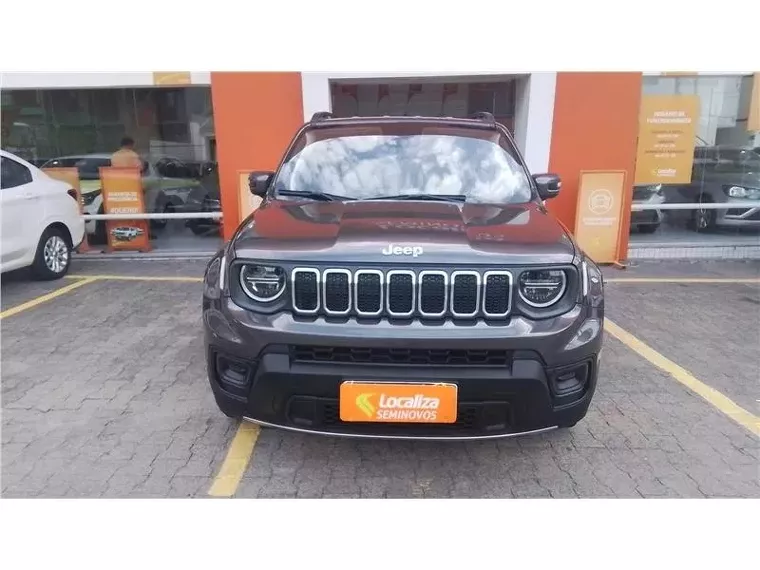 Jeep Renegade Cinza 1