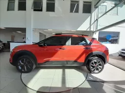 C4 Cactus