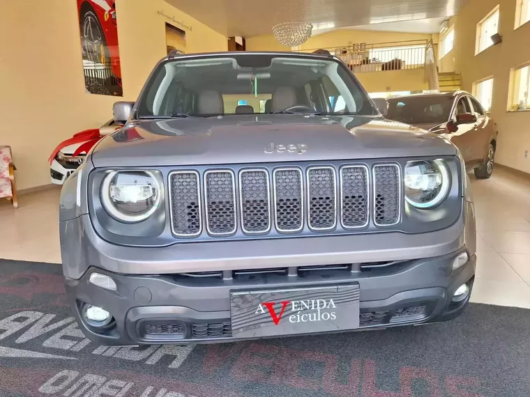 Jeep Renegade Cinza 3