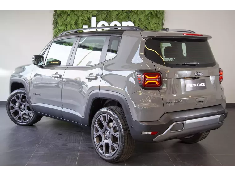 Jeep Renegade Cinza 2