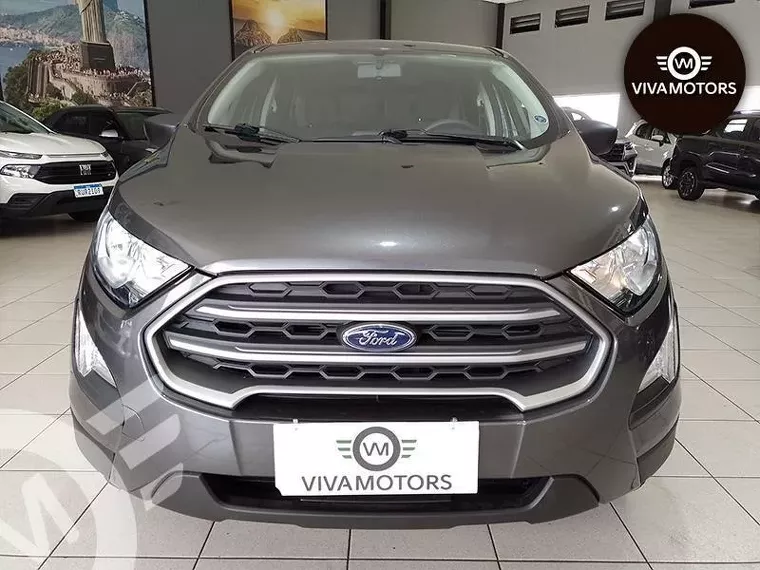 Ford Ecosport Cinza 5