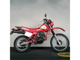 XLX 250