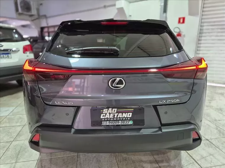 Lexus UX 250H Cinza 5