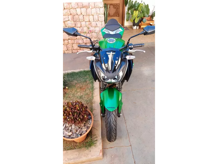 Kawasaki Z Verde 14