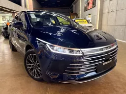 BYD King