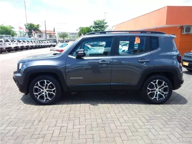 Jeep Renegade Cinza 1