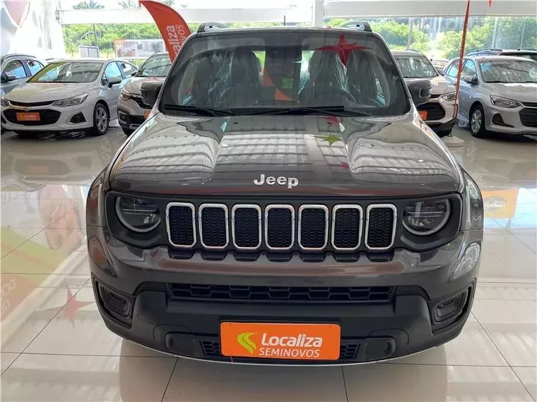 Jeep Renegade Cinza 1