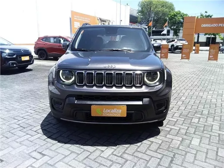 Jeep Renegade Cinza 1