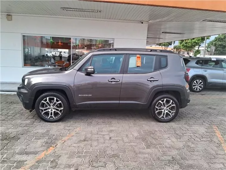 Jeep Renegade Cinza 1