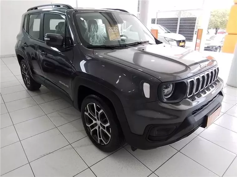 Jeep Renegade Cinza 5