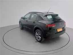 C4 Cactus