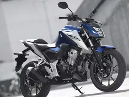 CB 300