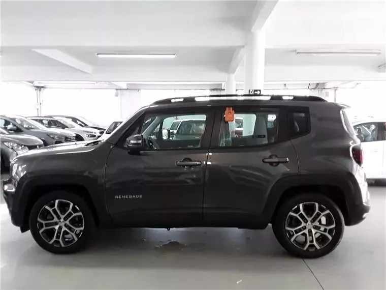 Jeep Renegade Cinza 4