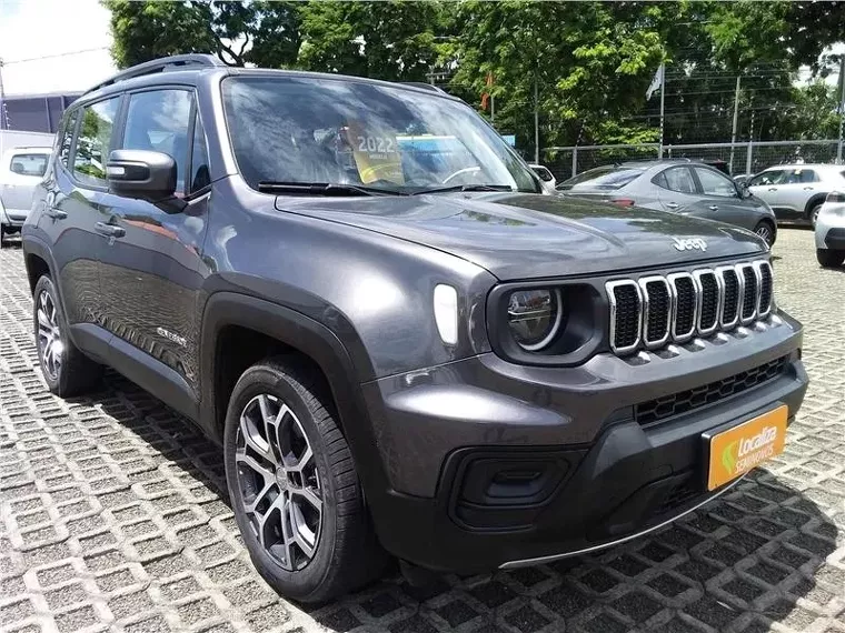 Jeep Renegade Cinza 6