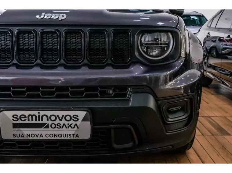 Jeep Renegade Cinza 14