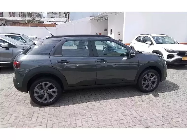 Citroën C4 Cactus Cinza 7