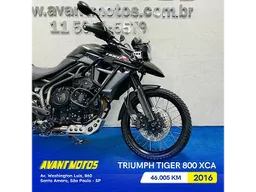 Tiger 800