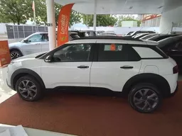 C4 Cactus