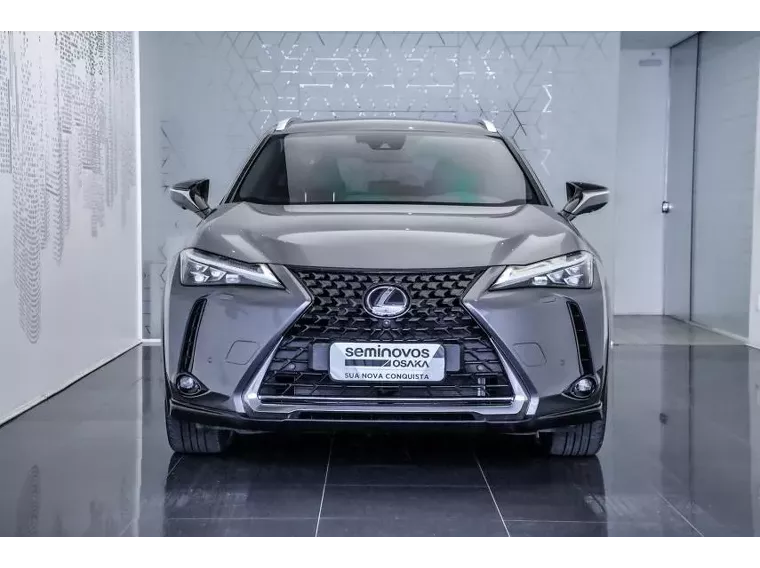 Lexus UX 250H Cinza 20