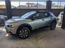 C4 Cactus