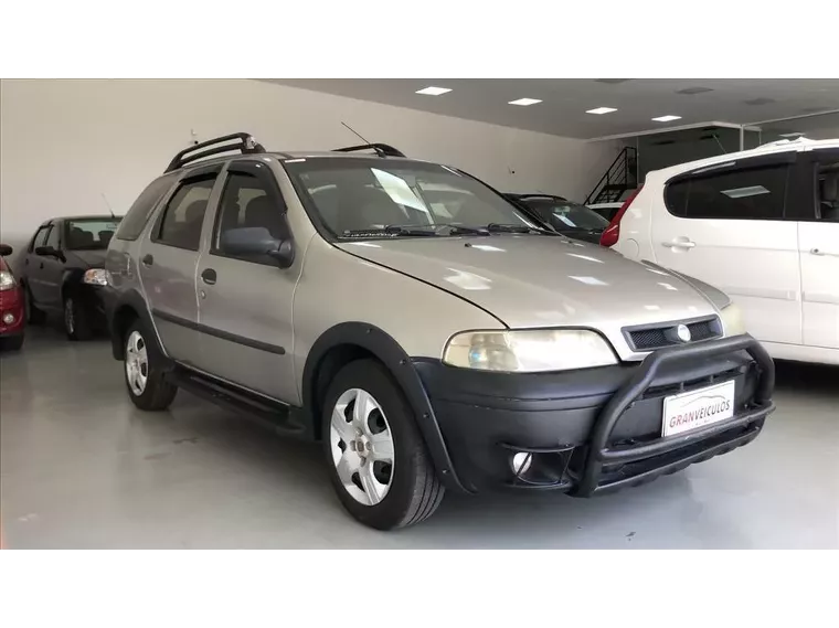 Fiat Palio Cinza 1