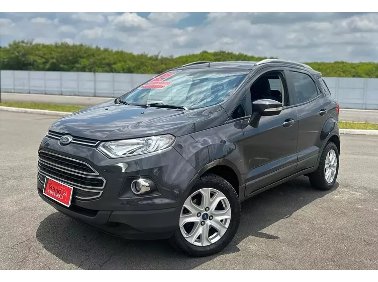 Ford Ecosport Cinza 1