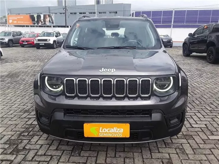 Jeep Renegade Cinza 18