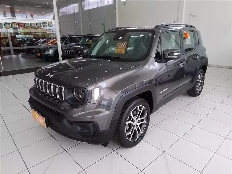 Jeep Renegade Cinza 1