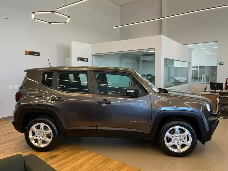 Jeep Renegade Cinza 3