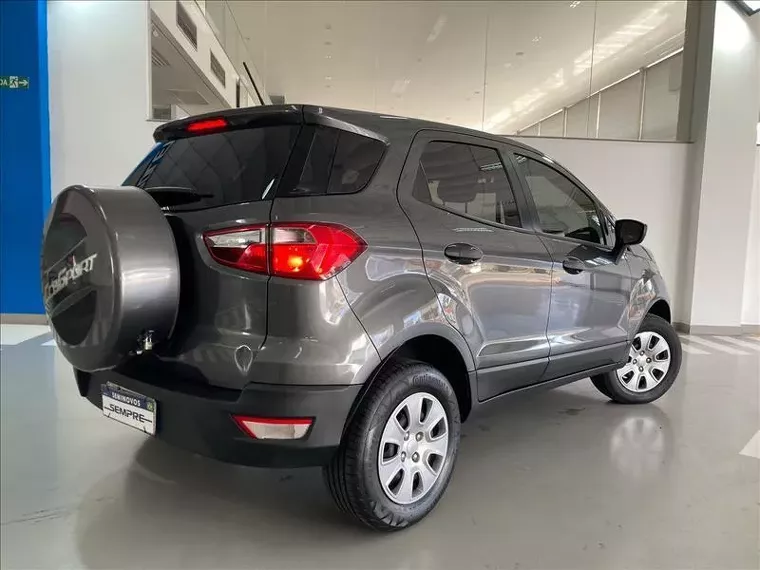 Ford Ecosport Cinza 1