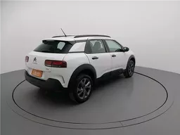 C4 Cactus