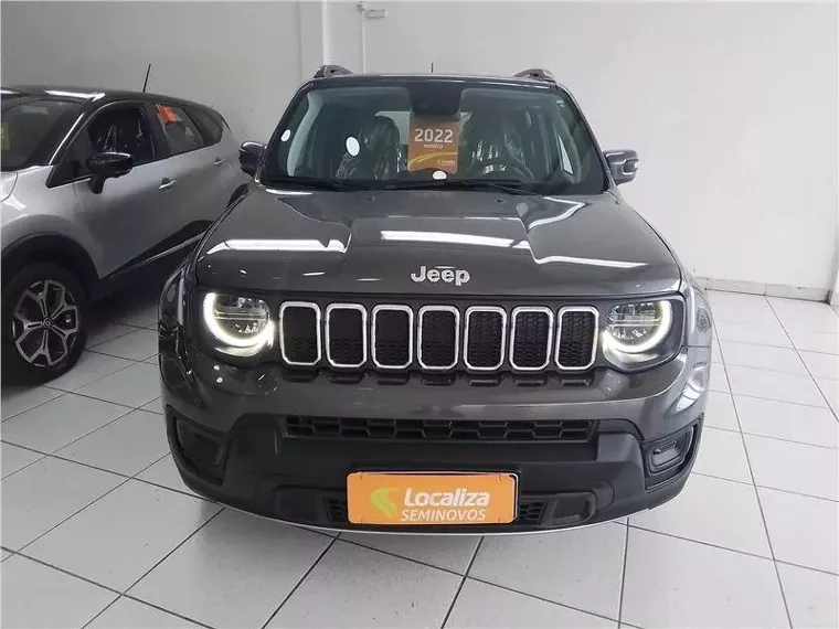 Jeep Renegade Cinza 4