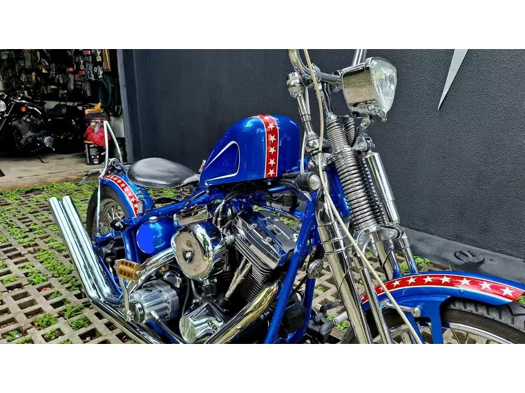 Harley-Davidson Springer Azul 14