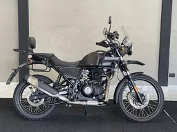 Himalayan
