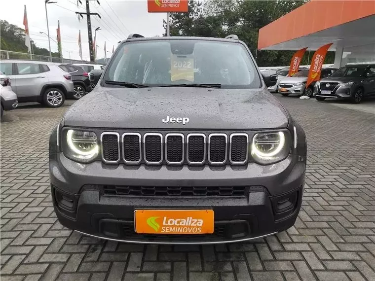 Jeep Renegade Cinza 1