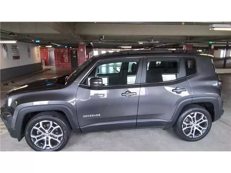 Jeep Renegade Cinza 10