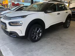 C4 Cactus