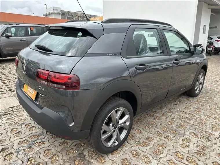 Citroën C4 Cactus Cinza 7